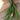 Lemongrass Essential Oil (5 ml) - Essential Oils