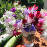 Mammoth Mix Sweet Pea Seed