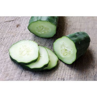 Marketmore 76 Cucumber (60 Days) - Vegetables