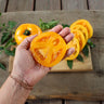 Marmalade Skies Tomato (Organic F1 Hybrid 75 Days) - Vegetables