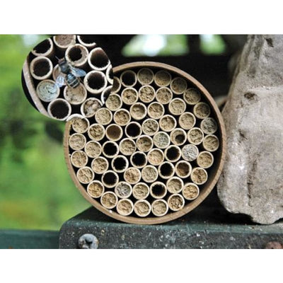 Mason Bee Nest Kit (Standard) - Crafts,Supplies