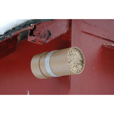 Mason Bee Nest Kit (Standard) - Crafts,Supplies