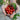 Matts Wild Cherry Tomato (55 Days) - Vegetables