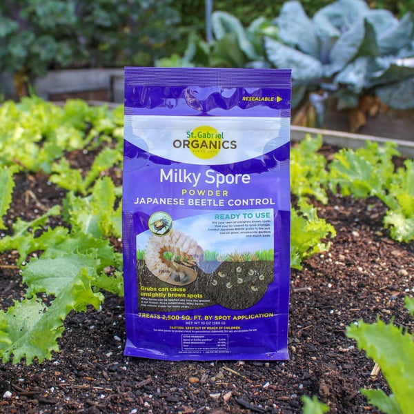 Milky Spore Powder (10 OZ) – Pinetree Garden Seeds