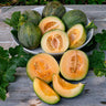 Minnesota Midget Melon (60 Days) - Vegetables