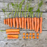 Napoli Carrot (F1 Hybrid 66 Days) - Vegetables