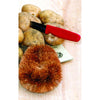 Natural Fiber Vegetable Brush - Supplies