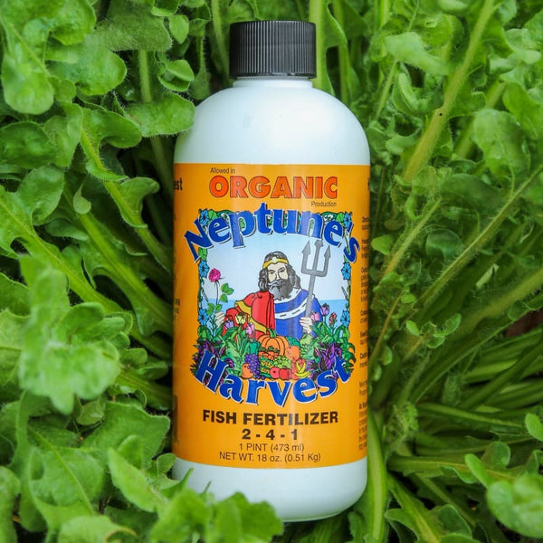 Neptune's Harvest Fish Fertilizer (Pint)