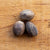 Nutmeg Whole (1/2 oz.) - Spices