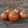 Onion Plants ’Patterson’ - Spring