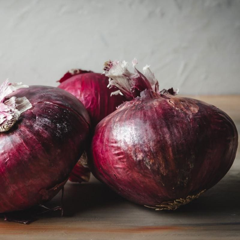 Onion Plants ’Red Burgundy’ - Spring