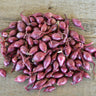 Onion Sets ’Red Baron’ - Spring