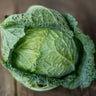 Perfection Savoy Cabbage (Heirloom 95 Days) - Vegetables