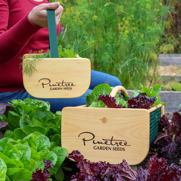Wooden, made in Maine garden baskets held by a gardener in a green raised bed.