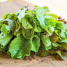 Pinetree Winter Lettuce Mix - Vegetables