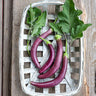 Pingtung Long Eggplant (Heirloom 66 Days) - Vegetables