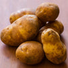 Potato ’Caribou Russett’ - Spring