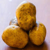 Potato ’Kennebec’ - Spring