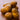 Potato ’Russet Burbank’ - Spring