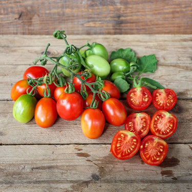 Principe Borghese Tomato (Heirloom 78 Days) - Vegetables