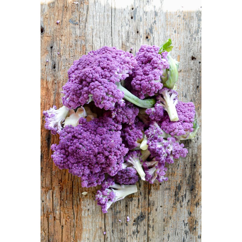 purple moon flower seeds Purple Moon Cauliflower (F1 Hybrid 62 Days) – Pinetree Garden Seeds