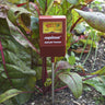 Rapitest Soil pH Tester - Supplies