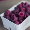 Raspberry ’Royalty Purple’ - Spring