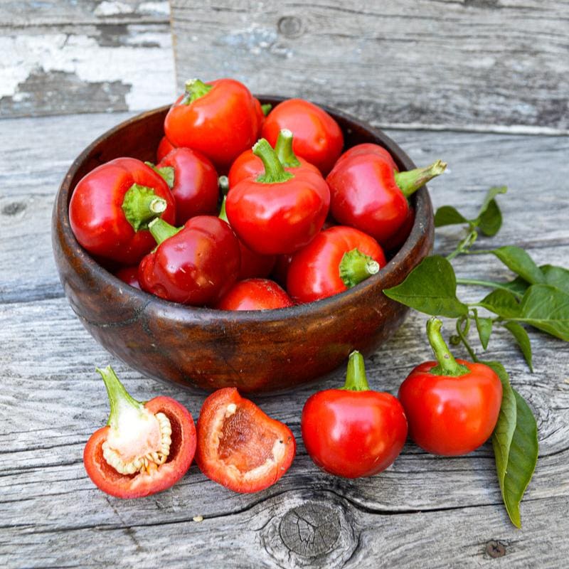 pepper seed planting depth Red Hot Cherry Pepper (77 Days) – Pinetree Garden Seeds
