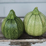 Ronde De Nice Summer Squash (Heirloom 50 Days) - Vegetables
