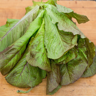 Rouge D’Hiver Lettuce (Heirloom 60 Days) - Vegetables