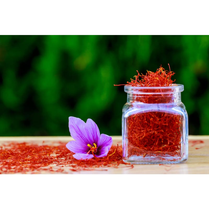 saffron flower seeds price Saffron Crocus – Pinetree Garden Seeds