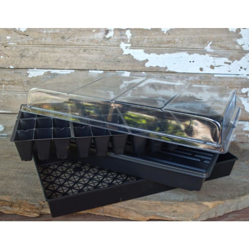 Seed Starter Tray-Solid Bottom (5)