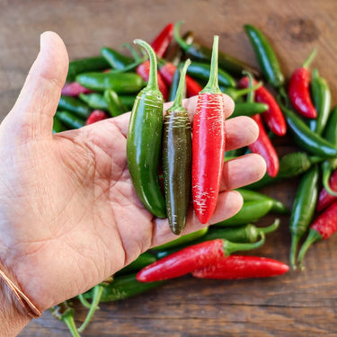 Serrano Hot Pepper (Heirloom 75 Days) - Vegetables