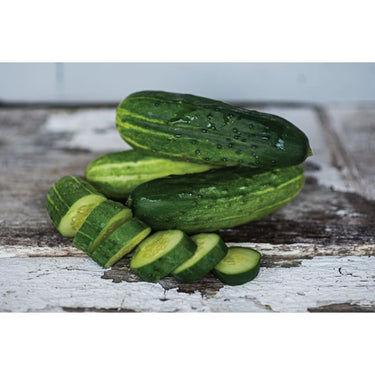 Spacemaster Cucumber (59 Days) - Vegetables