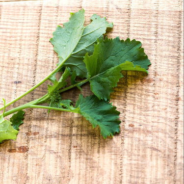 Spring Raab (42 Days) - Vegetables