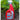 Red spray bottle labeled of Squirrel Stopper repellent with a healthy garden background.