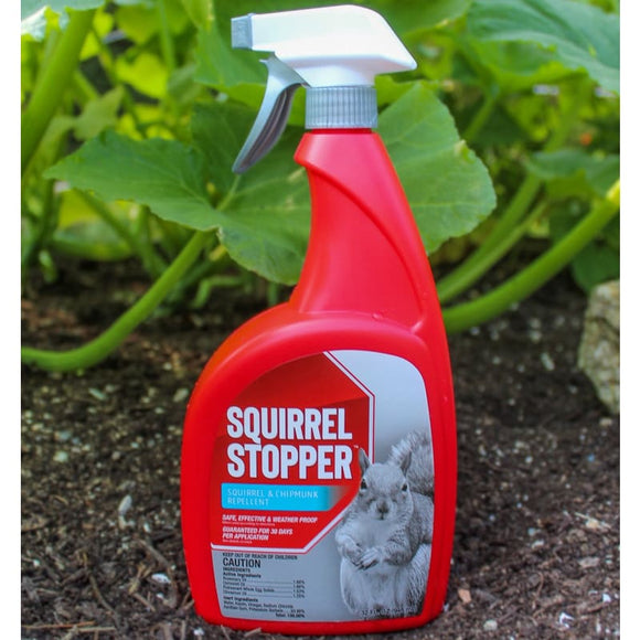 Squirrel Stopper RTU (32 oz.) – Pinetree Garden Seeds