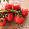 Sub Arctic Plenty Tomato (60 Days) - Vegetables
