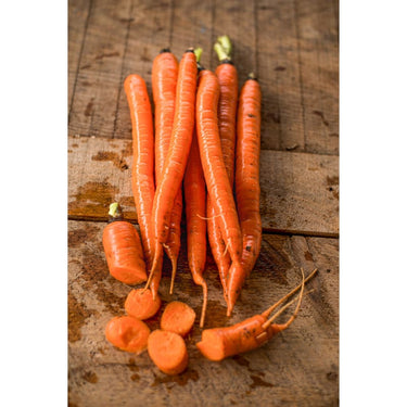 Sugar Snax Carrot (F1 Hybrid 63 Days) - Vegetables