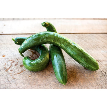 Summer Dance Cucumber (F1 Hybrid 70 Days) - Vegetables