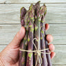 Sweet Purple Asparagus - Vegetables