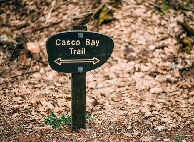 trail - low