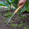 Hand using a garden cultivator to pull weeds in a bright green garden.