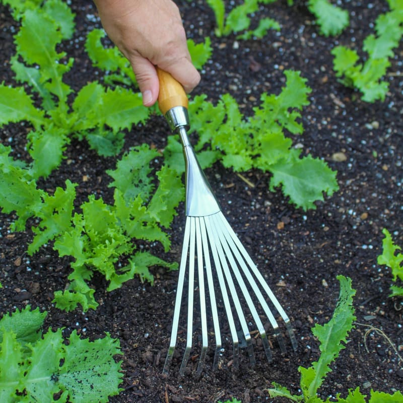 Garden Ruke Tierra Garden Hand Rake – Pinetree Garden Seeds