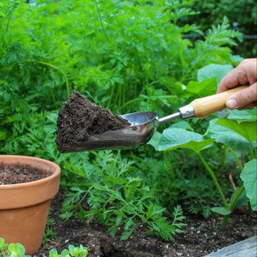 Person using a deep garden scoop to transfer soil into a pot from the garden.