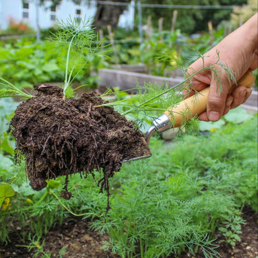 Hand holding a garden trowel with soil and plants in a garden setting.