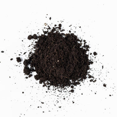 Fort Vee Soil Up Close