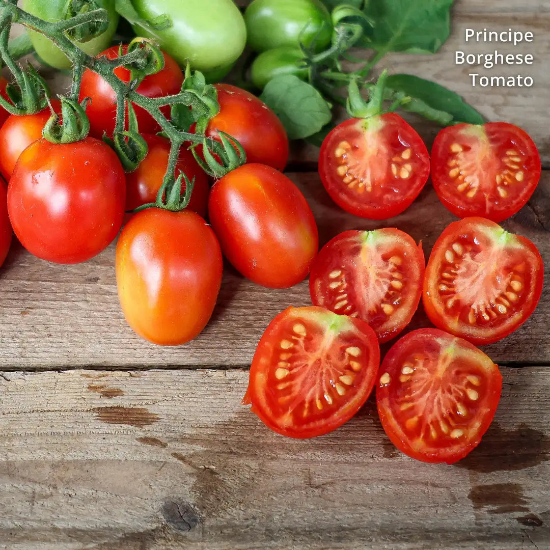 Vibrant red and green prince de borghese tomatoes, some halved to reveal their juicy interior.