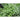 Wild Basil - Herbs