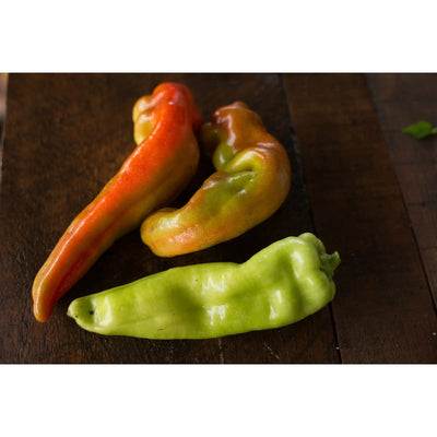 Aconcagua Pepper (Heirloom 75 Days) - Vegetables